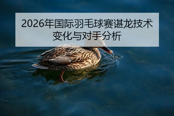 2026年国际羽毛球赛谌龙技术变化与对手分析