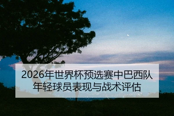 nian-shi-jie-bei-yu-xuan-sai-zhong-ba-xi-dui-nian-qing-qiu-yuan-biao-xian-yu-zhan-shu-ping-gu-2-526.jpg