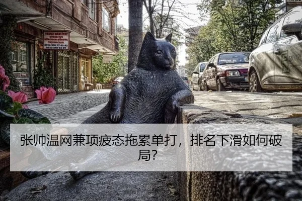 张帅温网兼项疲态拖累单打，排名下滑如何破局？