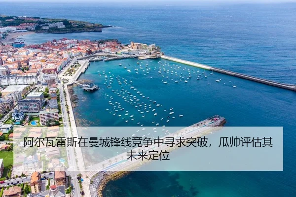 a-er-wa-lei-si-zai-man-cheng-feng-xian-jing-zheng-zhong-xun-qiu-tu-po-gua-shuai-ping-gu-qi-wei-lai-ding-wei-3-322.jpg